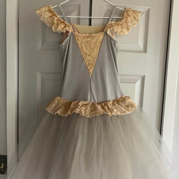 Adult Ballet Costume - Picture 5 of 7
